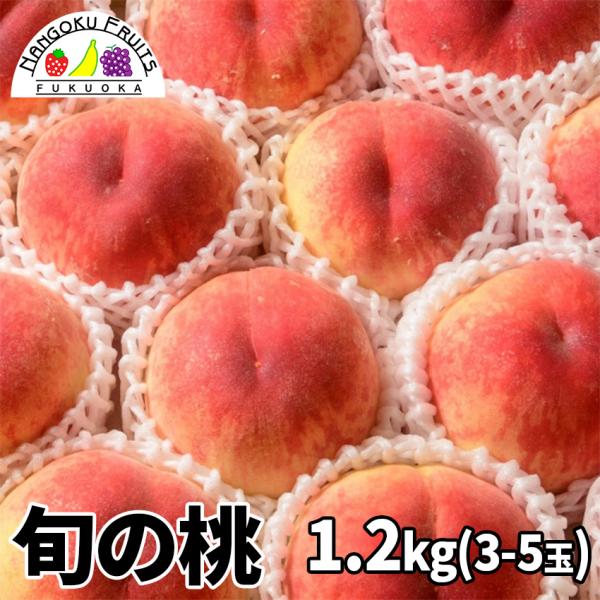 旬の桃　1.2kg(3〜5玉)  ギフト 贈答 御中元 御祝 桃 予約商品
