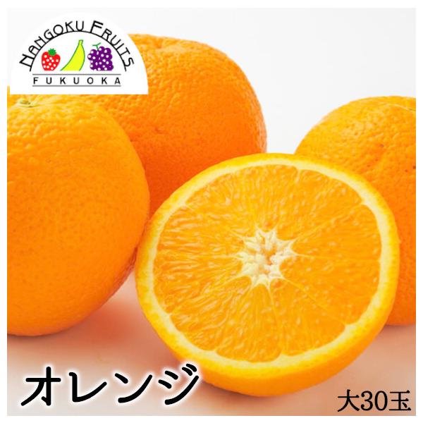 AJ/ I[XgAY IW  30 1ʂ230g Mtg   Ε j  v[g IW