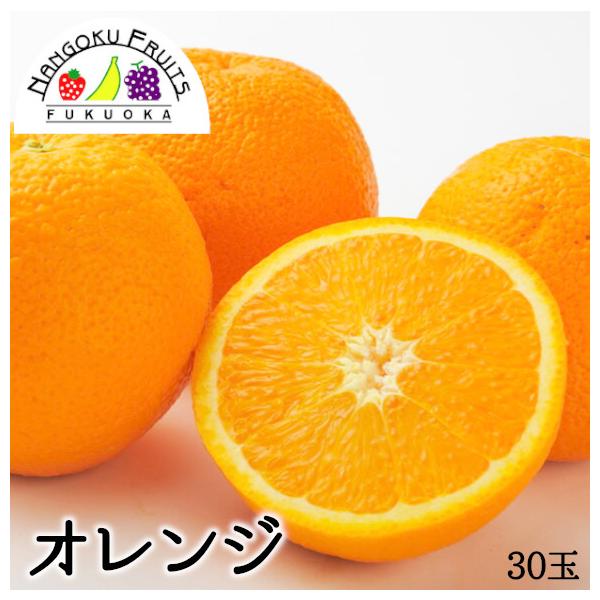 AJ I[XgAY IW 30 1ʂ150g Mtg   Ε j  v[g IW