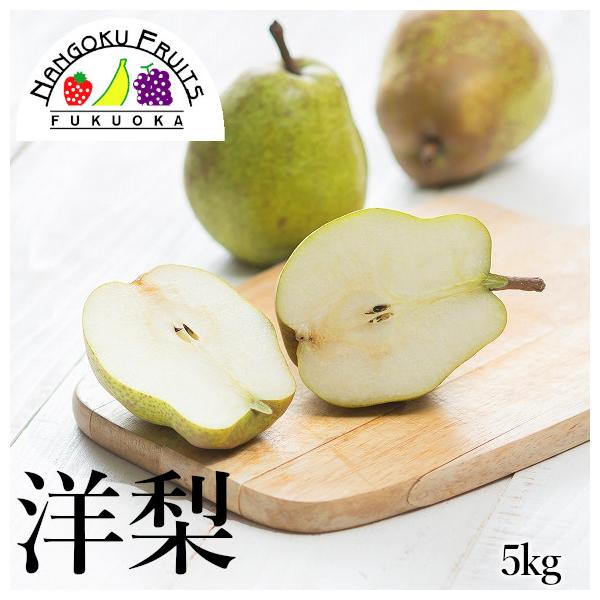 秋から冬にかけてが旬の西洋梨。外観はでこぼことしていて、果肉はジューシーで甘くとろけるような食感が特徴です。旬の時期に合わせてオススメの品種をお届けいたします。商品名：洋梨内容量：約5kg (16〜20玉)品　種：オーロラ/バートレット/マ...