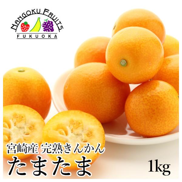 甘くて最高 宮崎の選び抜かれた きんかん の最高峰 たまたま たべごと