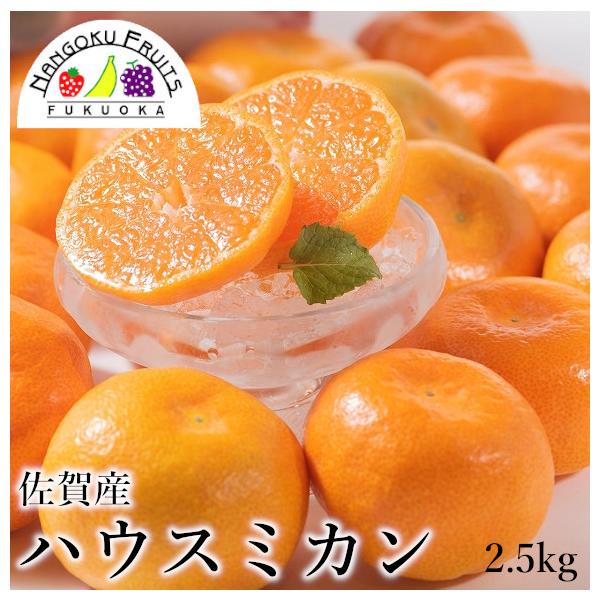 佐賀産ハウスみかん 約2.5kg 果物 贈り物 贈答 御礼 御祝