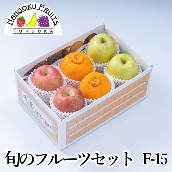 {̃t[cZbg F15 Mtg ʕ lߍ킹 fR|    sm ӂ WiS[h  gL Ε j  \