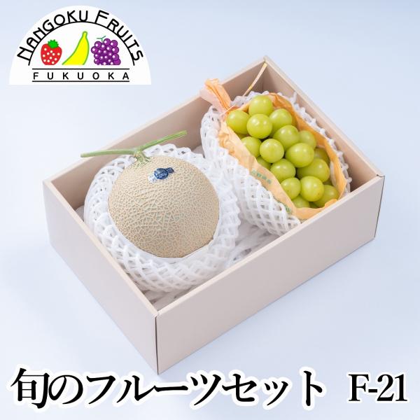 {̃t[cZbg F21 Mtg ʕ t[c lߍ킹 VC}XJbg  Ԃǂ uhE  Ε j 