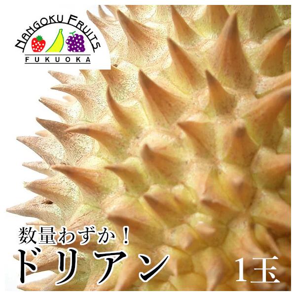商品名…ドリアン 1玉内容量…1玉(1.2kg以上)産　地…ベトナム消費期限…食べ頃になりましたら、なるべくお早めにお召し上がりください。※画像はイメージです。※加算送料：北海道…￥2,000 (税込）  沖縄…￥1,500 (税込）※お届...