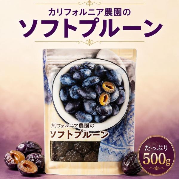 無添加 カリフォルニア農園産 ソフトプルーン500g×40袋 砂糖不使用 ドライフルーツ 種抜き 送料無料 お得セット 徳用 業務用 株式会社栗山商事 果実の王国
