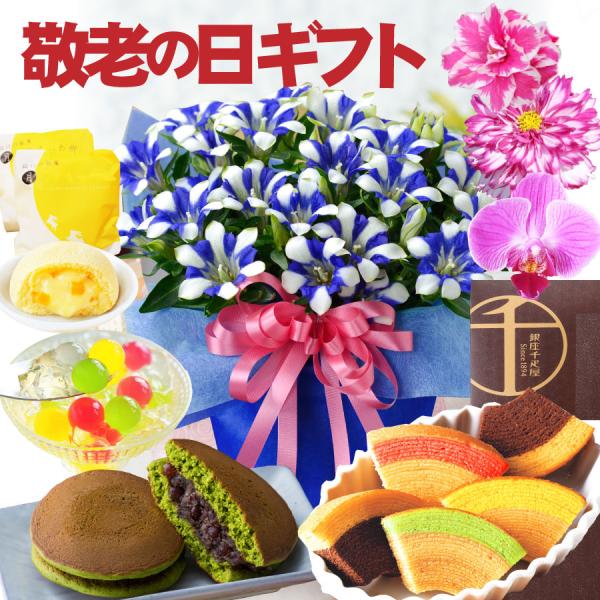 ニオイザクラ 農業資材 ガーデニング用品の通販 価格比較 価格 Com