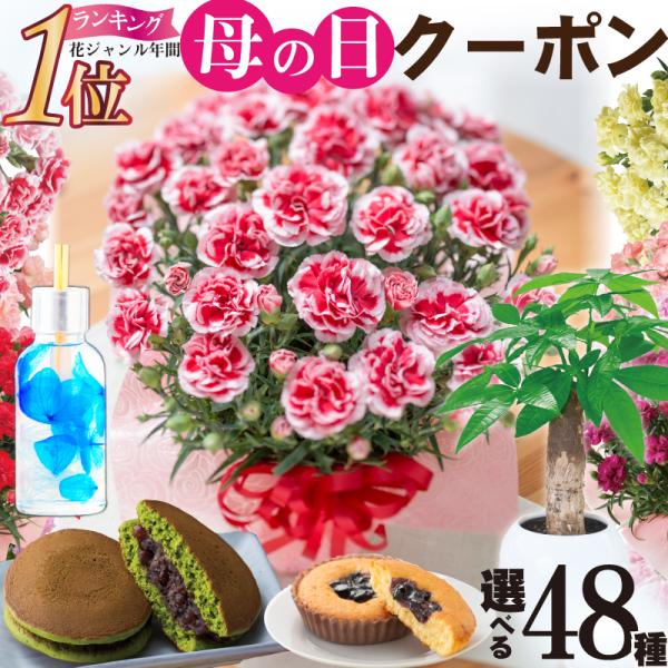 母の日 カーネーション 花 鉢植え ギフト 21 プレゼント 赤 ピンク オレンジ パープル イエロー 変り咲き 選べる特典 Buyee Buyee Japanese Proxy Service Buy From Japan Bot Online