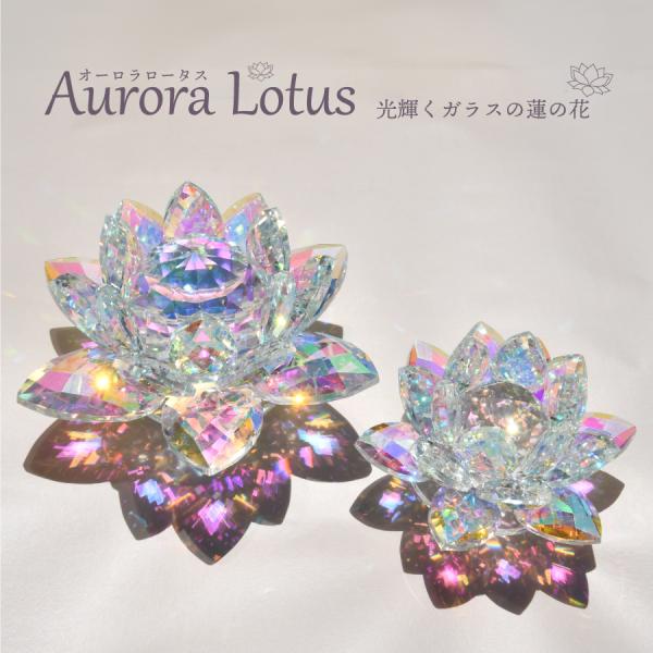 kajoen_auroralotus-s