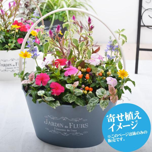 バスケット プランター 鉢 選べる6色 寄せ植え用 花苗用 球根用 におすすめ 苗は含みません 鉢のみです Buyee Buyee 日本の通販商品 オークションの代理入札 代理購入