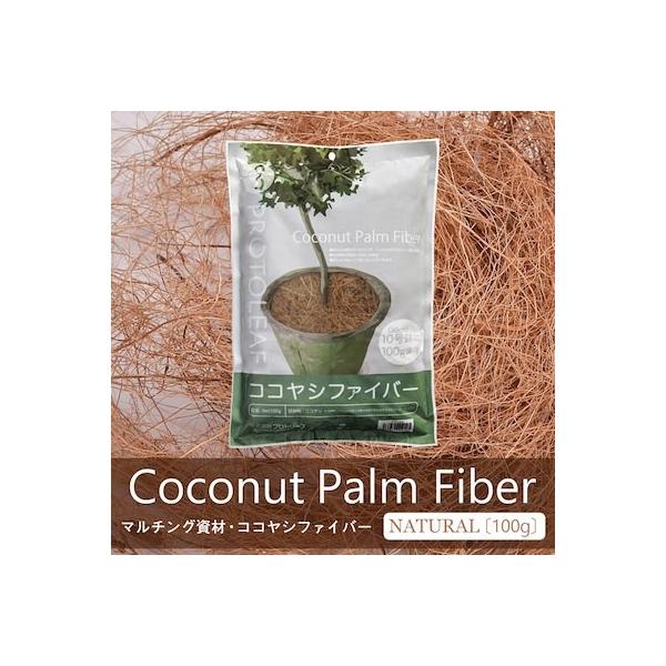 RRVt@Co[ 100g p}`OnMOpɂI