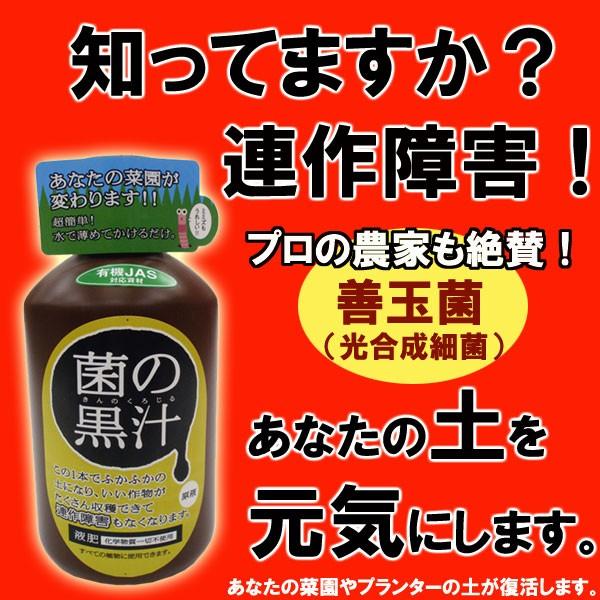 菌の黒汁 500ml さらば連作障害！ 土を元気にする ヤサキ : FleurTown