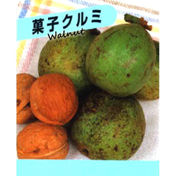 َqN~  N~ c 4|bgc ʎc tʎc