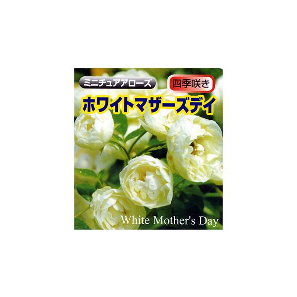 y\z oc zCg}U[YfC ~j`Ah [Y n 2N c o KN ΂