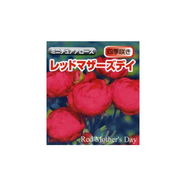 y\z  oc bh}U[YfC ~j`Ah [Y Ԍn 2N c o KN ΂