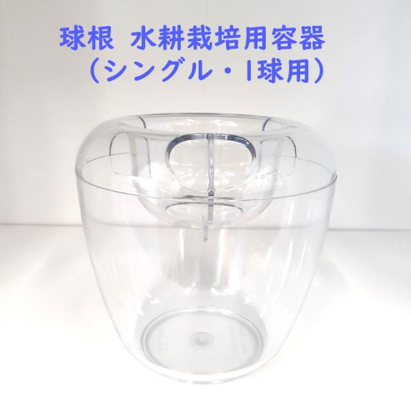 水栽培 容器 VASE シングル 球根用 1球用 水耕栽培 ヒヤシンス チューリップ 水仙 ムスカリ におすすめ ※球根は付いていません※