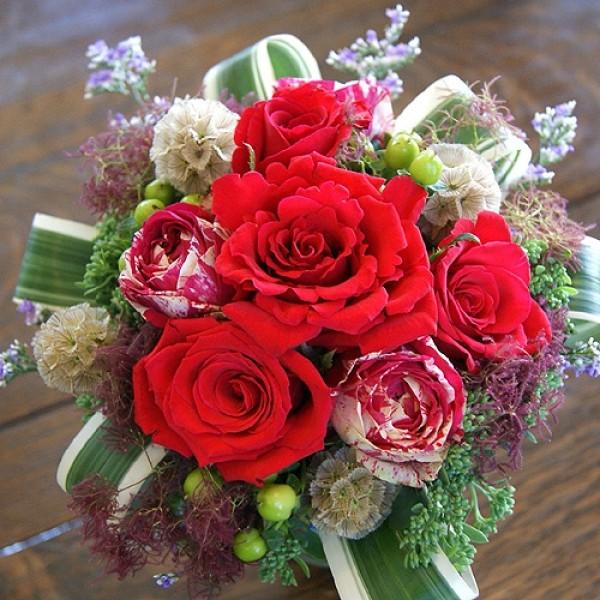 o KN  Ehu[P  t[AW v[ga LO j 摜 