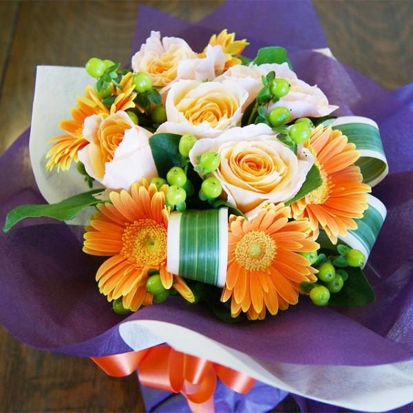 r^~J[ ԕr̂Ȃԑ u[P t[Mtg  v[g tbV ЂȍՂ ̓ ̓ 