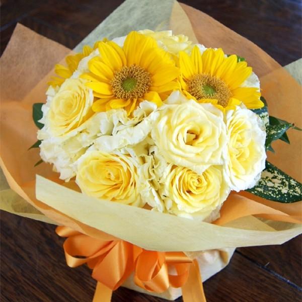 q}CG[ ԕr̂Ȃԑ u[P t[Mtg  v[g ЂȍՂ ̓ ̓  摜 