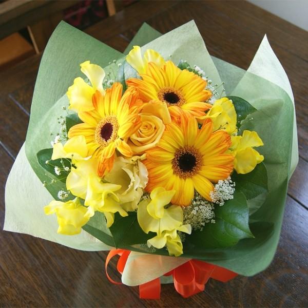 o^C nbs[CG[ ԕr̂Ȃԑ u[P