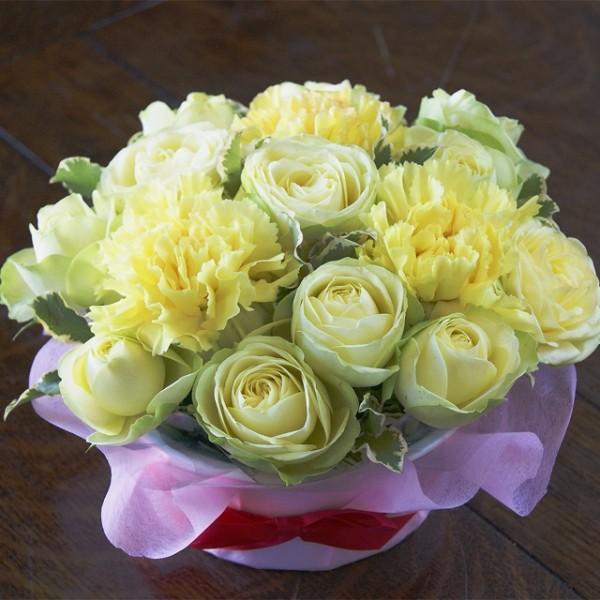 KN J[l[V N[P[L  v[g ̓ ̓ ̓ a LO j 