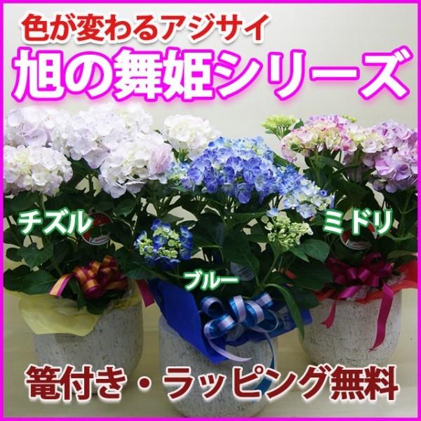 z  nChWA ̕P U 2023 ߘa5N ̓ ̓ mz Mtg FIׂ Ut Ả A v[g 