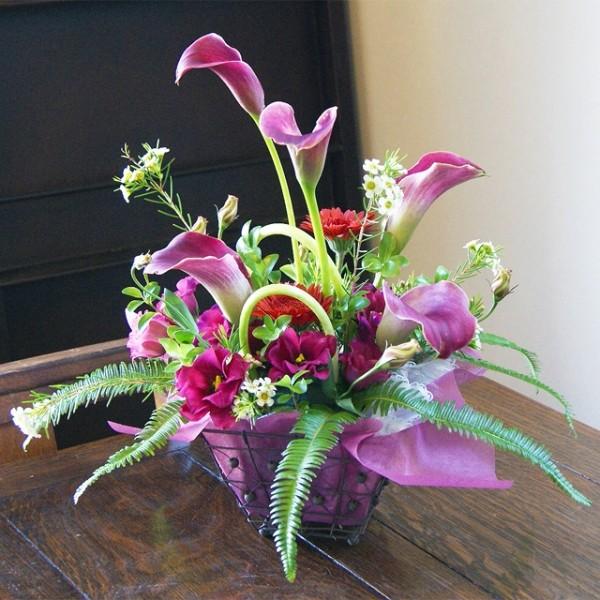 ̓ ̓ J[  p[v AWg  t[AW v[ga LO j 摜 