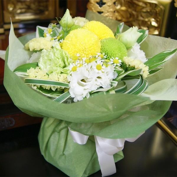 s|e s|}  ^ۋe ԕr̂Ȃԑ u[P  ~ ފ hV̓