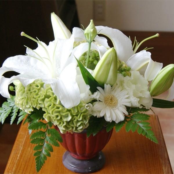 JTuJ t[AWg     ~ ފ hV̓