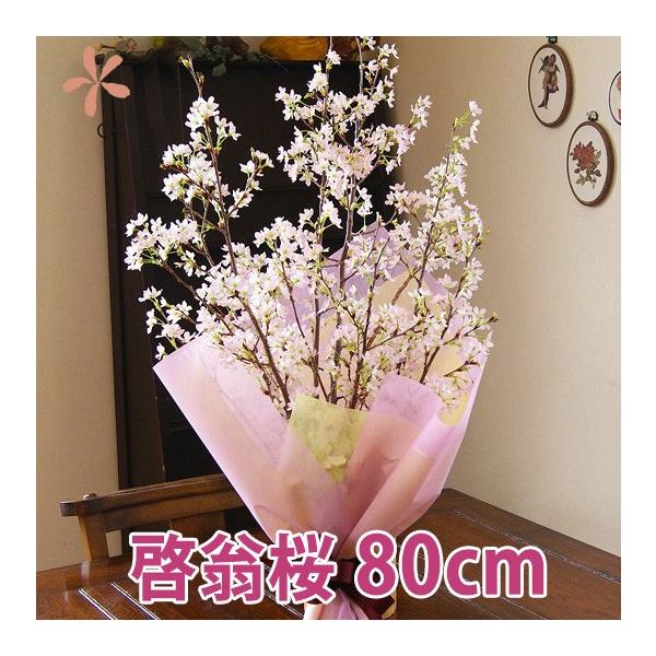 [   ԑ 80 Ε N  a ԑv[g  ̎} 傫  ԃMtg