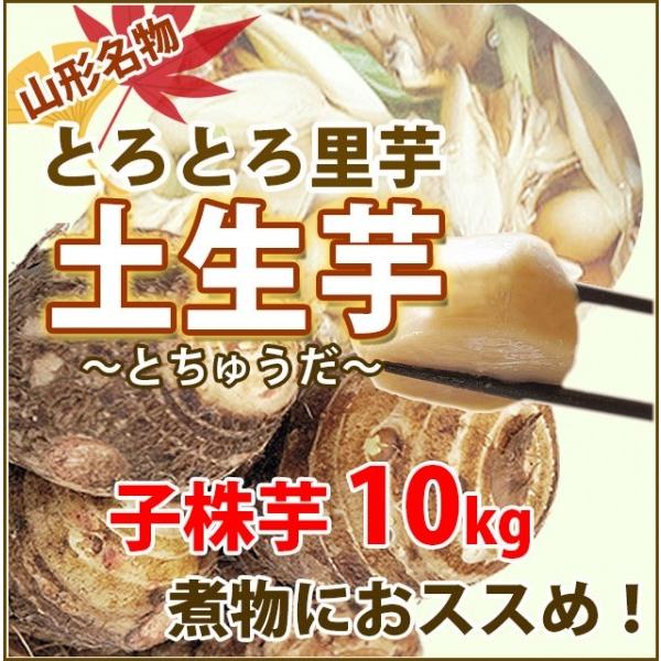 [Release date: September 1, 2024]訳あり 我家で採れた里いも 土生芋 とちゅうだ  優 B品 子株 10kg 煮物におススめ ご家庭用 土付き皮付き 山形産 送料無料