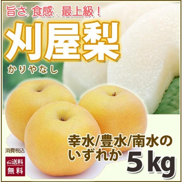 梨 5kg 幸水の人気商品・通販・価格比較 - 価格.com