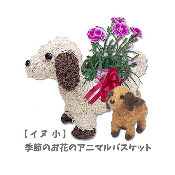 アニマルバスケット 犬 （小）  母の日 父の日 2025 プレゼント結婚記念日 赤 ピンク カーネーション ラベンダー 観葉植物 季節の花 誕生日 動物 寄せ植え