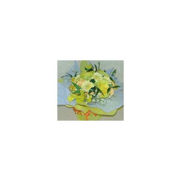 ̓ ̓ ԑ u[P CG[ zCg ԕr̂Ȃԑ u[P  v[g ЂȍՂ   ̓ ̓ a LO JXj 