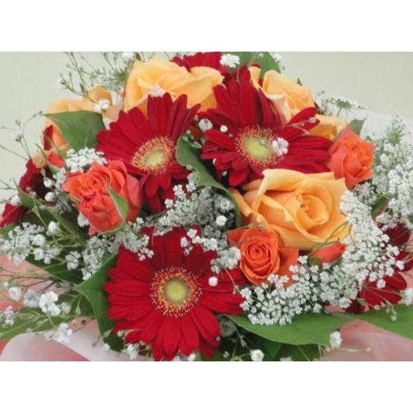 xăS ̓ ̓C C ̂ꂳփIW bh̓̕ ̓ԕr̂Ȃԑ u[PTXȍ~ 