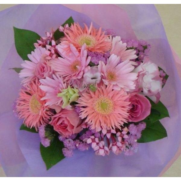 xăS ̓ ̓sN sN̉̓ ̓ԕr̂Ȃԑ u[PTXȍ~ 