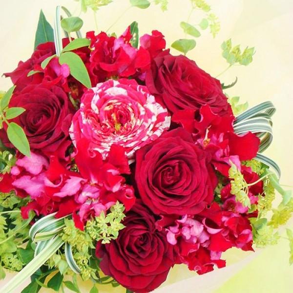 Of[V [Ỷԕr̂Ȃԑ u[P ԑ  v[g ЂȍՂ ̓ ̓ 