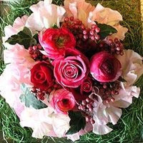 ̓ ̓ t[P[L sNōs[`P[L T   v[ga LO j