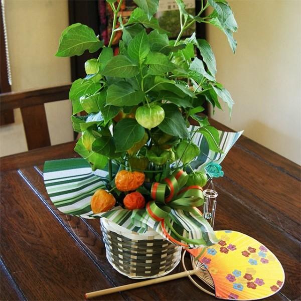 ق قẢ A  Mtg v[gy t 5 oXPbg z  ق ~ V~  zEYL S 