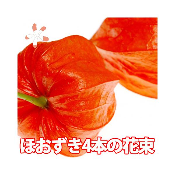 ق ~ ~ ԑ Mtg v[gy ق4{̉ԑ bsO MtgBOX z ؂ ؉ ق