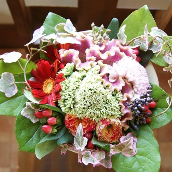 hV̓ ԑ u[P AeB[NJ[@Ehu[P  v[g Mtga LO j 摜 