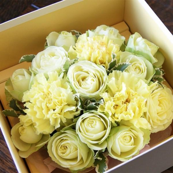 hV̓ t[P[L KN J[l[V N[P[L  v[g Mtga LO j 摜 