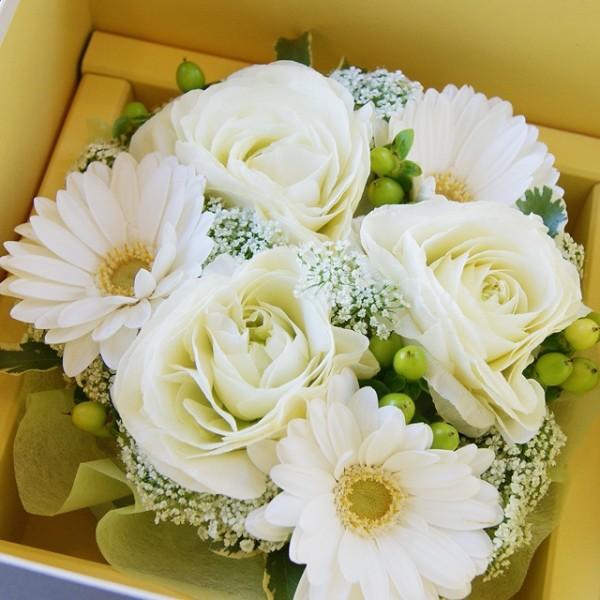 hV̓  ^tt̃t[P[L  v[g Mtga LO j 摜 