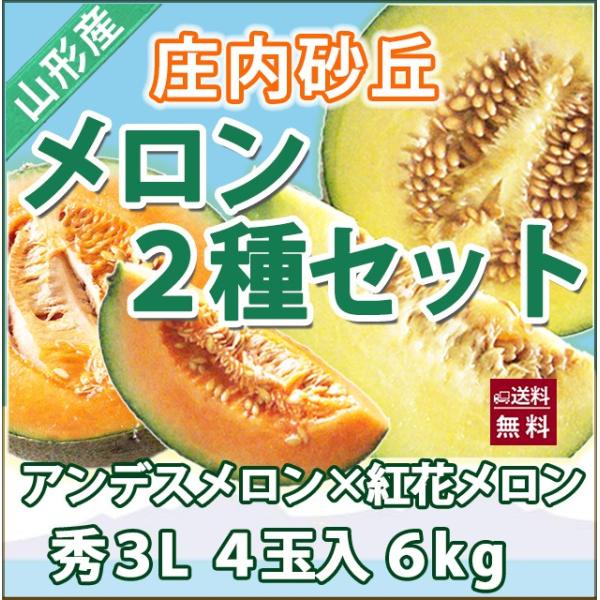 メロン アンデスメロン」の人気商品一覧・価格比較 - 価格.com