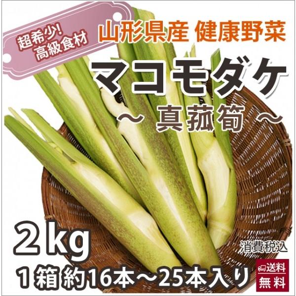 [Release date: October 1, 2026]送料無料 山形産 マコモダケ 真菰筍 ２kg 約16本〜25本  生でも食べられる自然健康フルーツ野菜