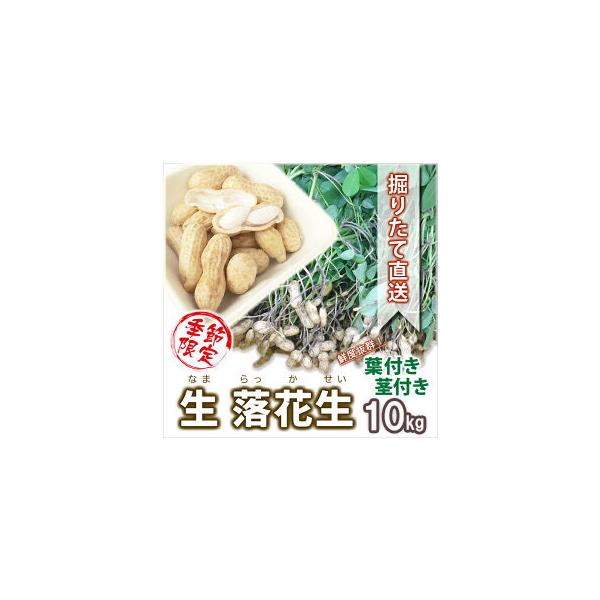 落花生 国産 落花生生 10kg 5kg 2個 生 おおまさり 郷の香 品種