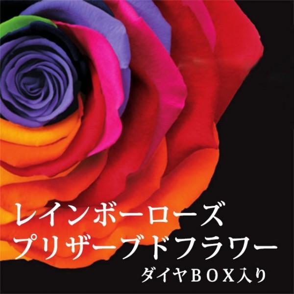 vU[uht[ ̓ ̓  v[g C{[[Y A[T _C{bNX ot a LO