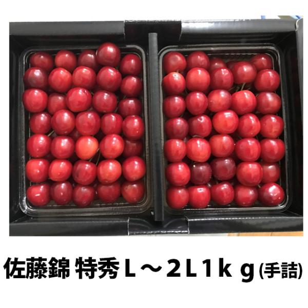 [Release date: June 10, 2026]さくらんぼ 佐藤錦 特秀 L〜２L 手詰め 1ｋｇ 佐藤錦 山形 贈答 ギフト 送料無料 手詰め 並べ詰め プレゼント チェリー お中元 サクランボ 時期 さくらんぼ佐藤錦 予約 1...