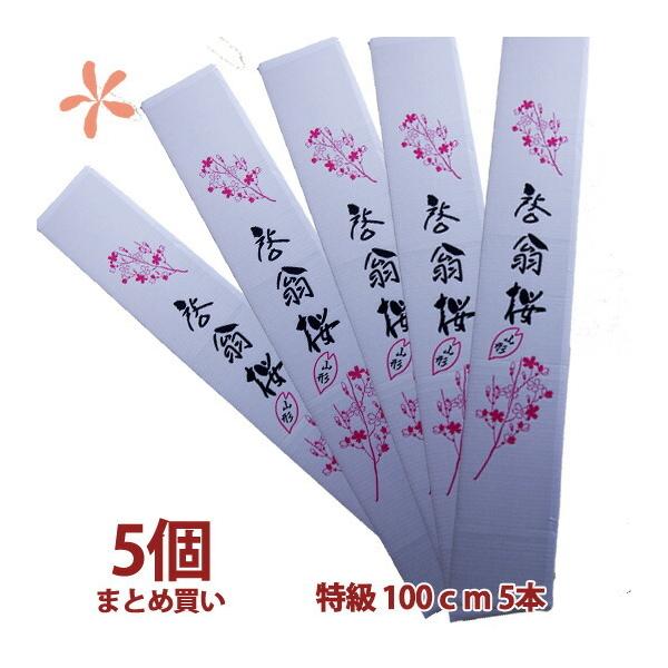 [ 100 5 ܂Ƃߔ a ԑ LO Ǝ ԑv[g  ̎} 傫  ԃL[sbg ԃMtg