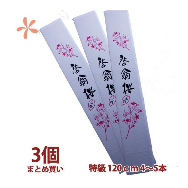 [ 120 3 ܂Ƃߔ a ԑ LO Ε N  a  ̎} 傫  ԃL[sbg ԃMtg